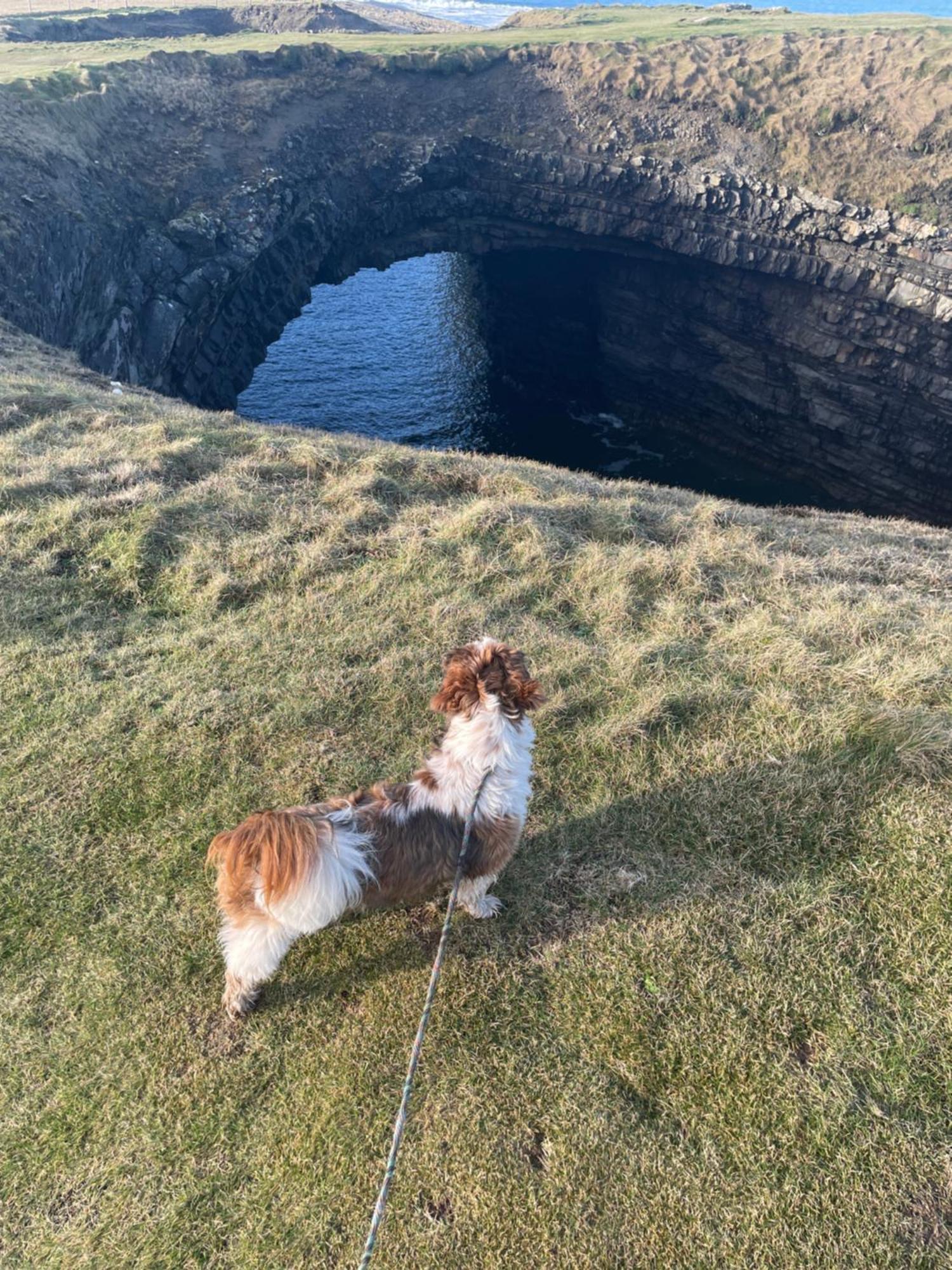Cois Na Mara Bridges Of Ross V15 T677 Bed and Breakfast Kilbaha Buitenkant foto